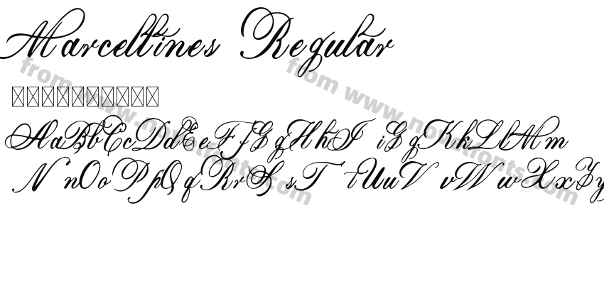 Marcellines RegularPreview