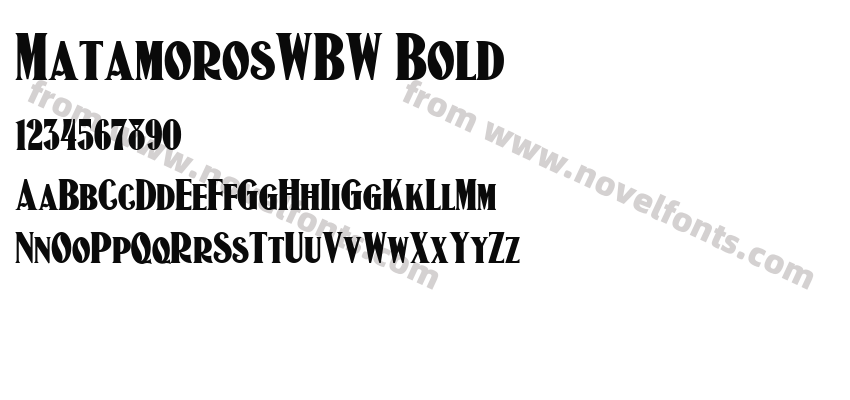MatamorosWBW BoldPreview