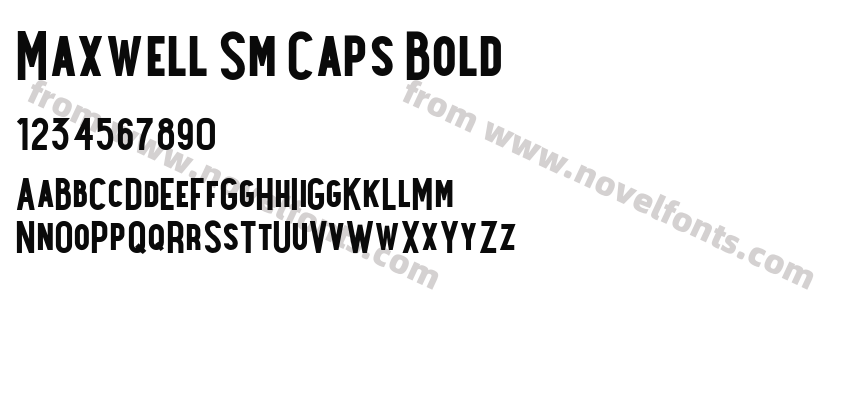 Maxwell Sm Caps BoldPreview