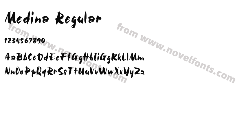 Medina RegularPreview