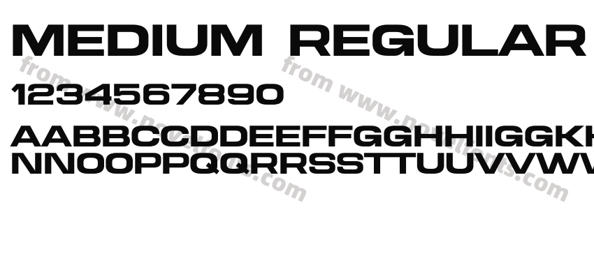 Medium RegularPreview