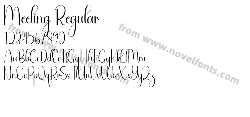 Meeting RegularPreview