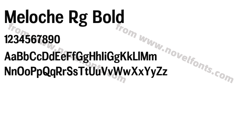 Meloche Rg BoldPreview