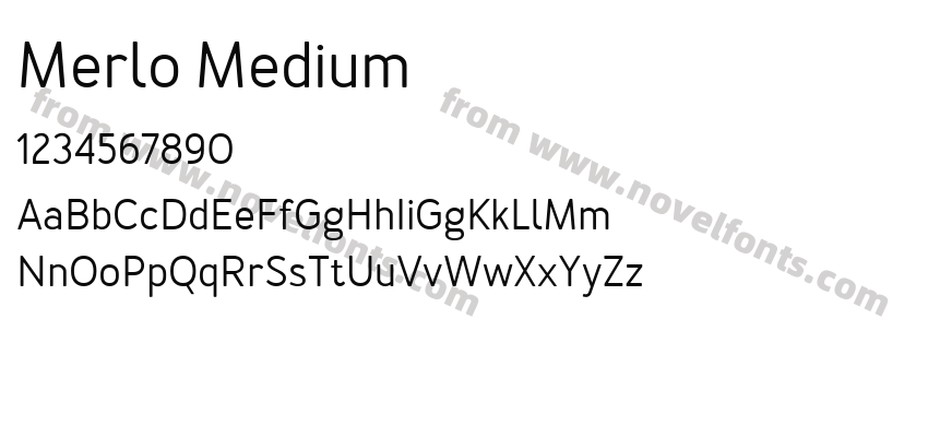 Merlo MediumPreview