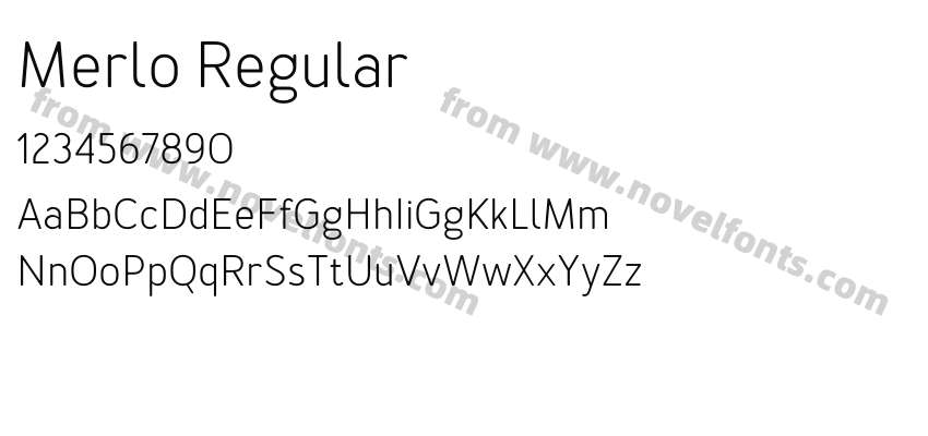 Merlo RegularPreview