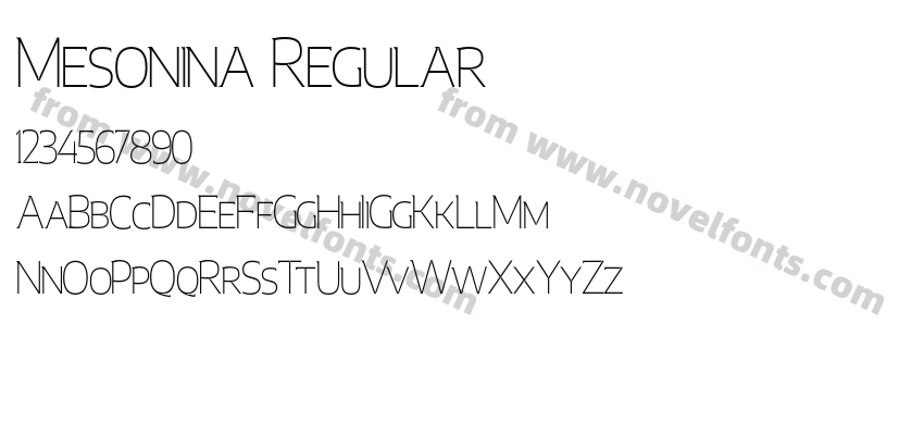 Mesonina RegularPreview