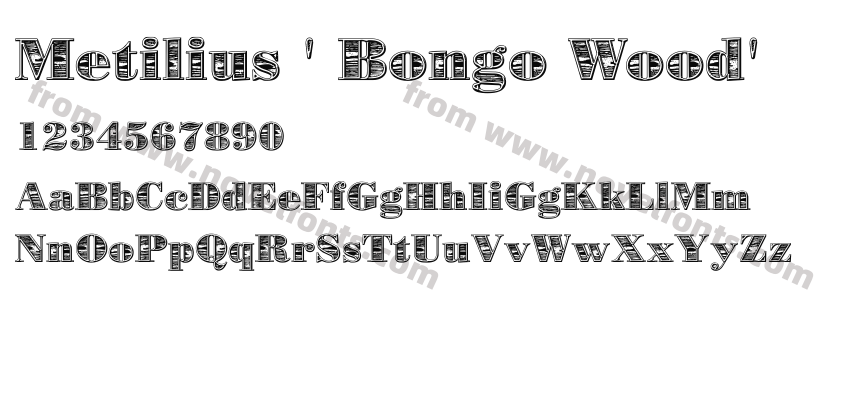 Metilius ' Bongo Wood'Preview
