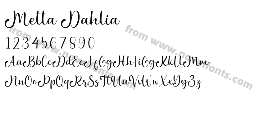 Metta DahliaPreview