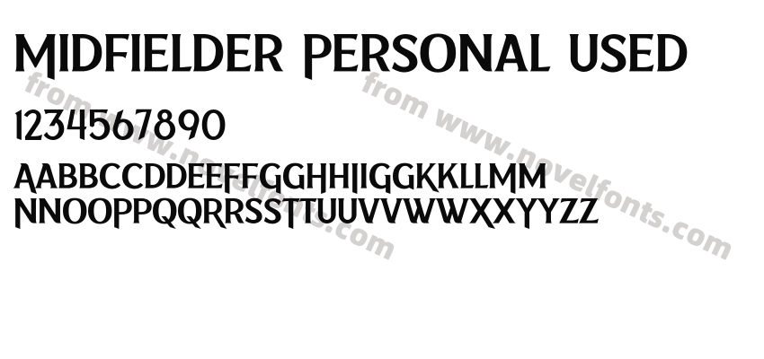 Midfielder Personal UsedPreview