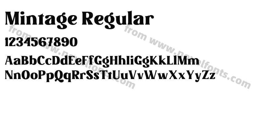 Mintage RegularPreview