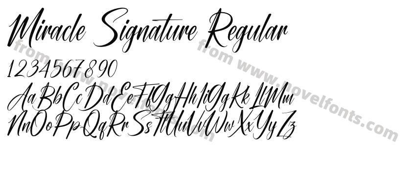 Miracle Signature RegularPreview
