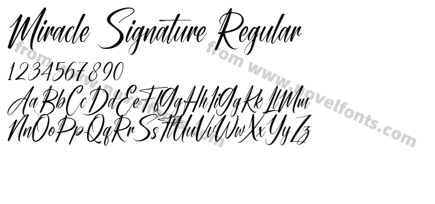Miracle Signature RegularPreview
