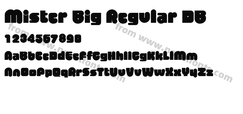 Mister Big Regular DBPreview