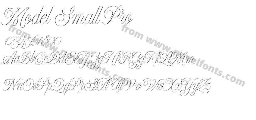 Model Small ProPreview