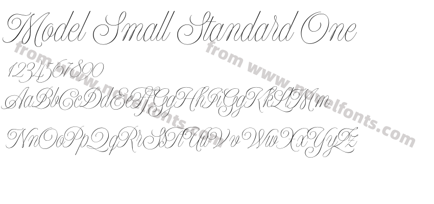 Model Small Standard OnePreview