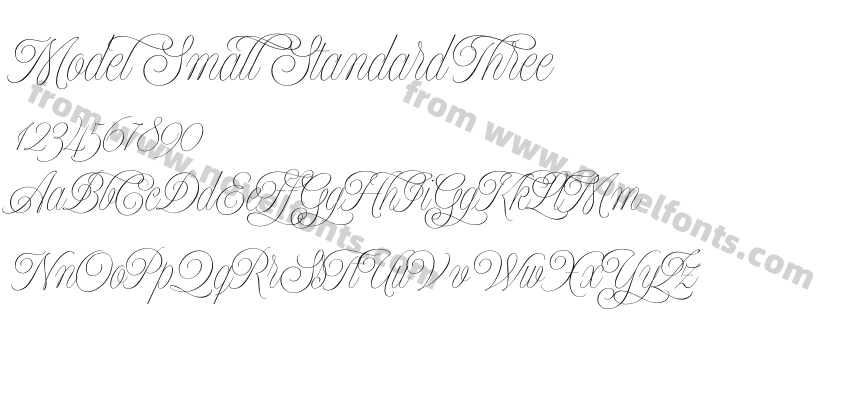 Model Small Standard ThreePreview