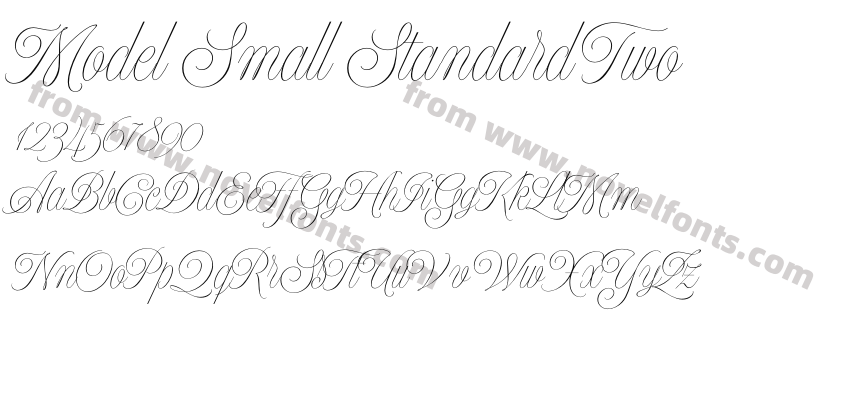 Model Small Standard TwoPreview