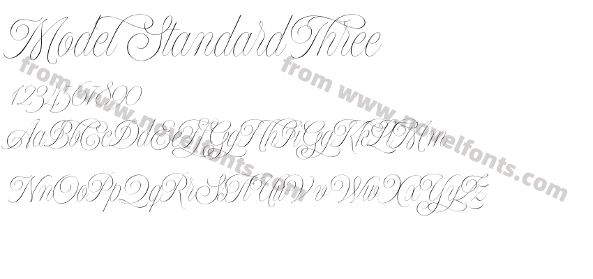 Model Standard ThreePreview