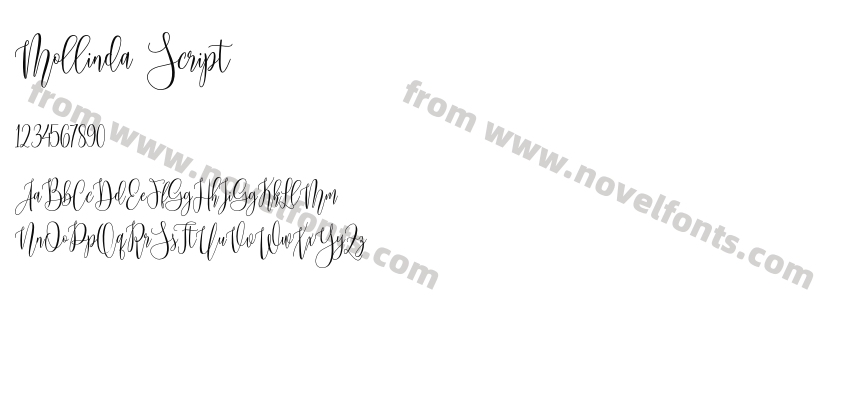 Mollinda ScriptPreview