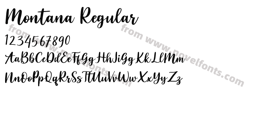 Montana RegularPreview
