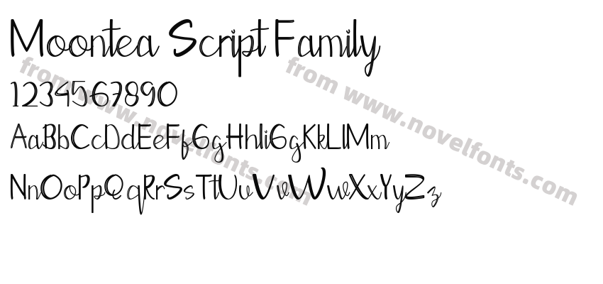 Moontea Script FamilyPreview