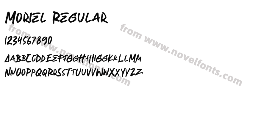 Moriel RegularPreview