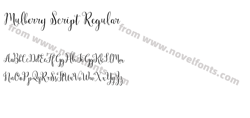 Mulberry Script RegularPreview