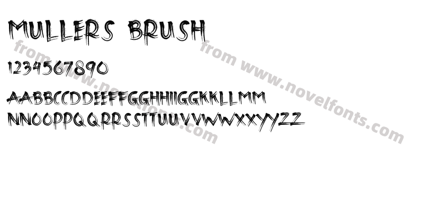Mullers BrushPreview