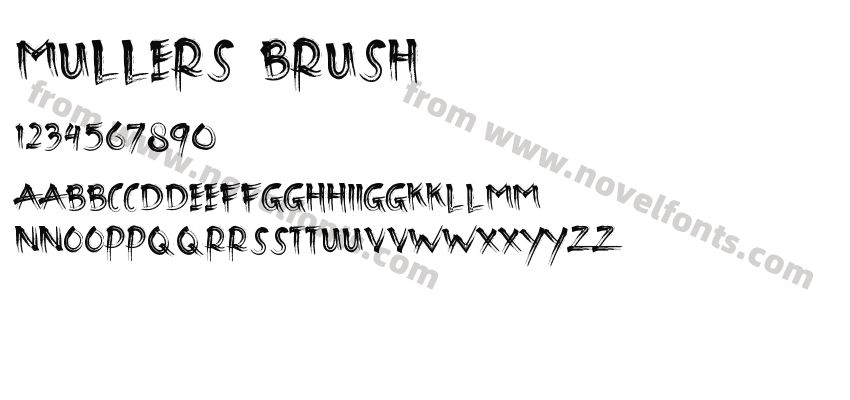 Mullers BrushPreview