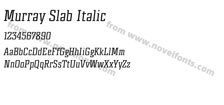 Murray Slab ItalicPreview