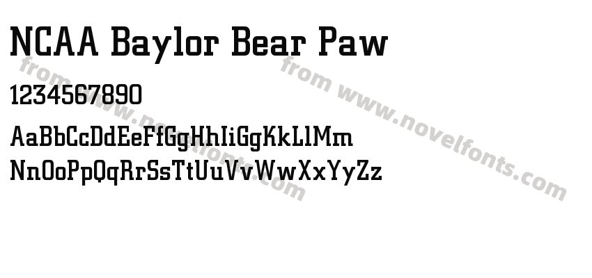 NCAA Baylor Bear PawPreview