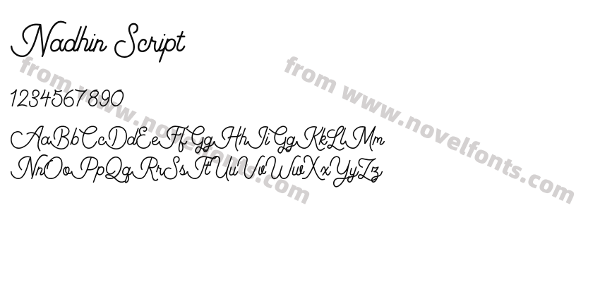 Nadhin ScriptPreview