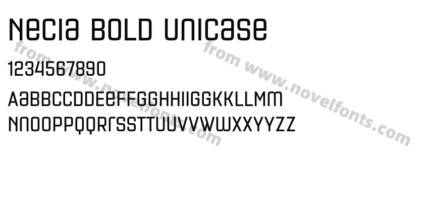 Necia Bold UnicasePreview
