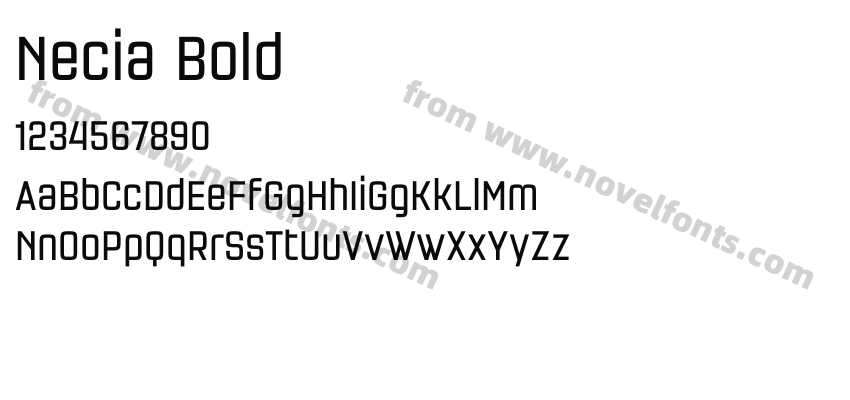 Necia BoldPreview