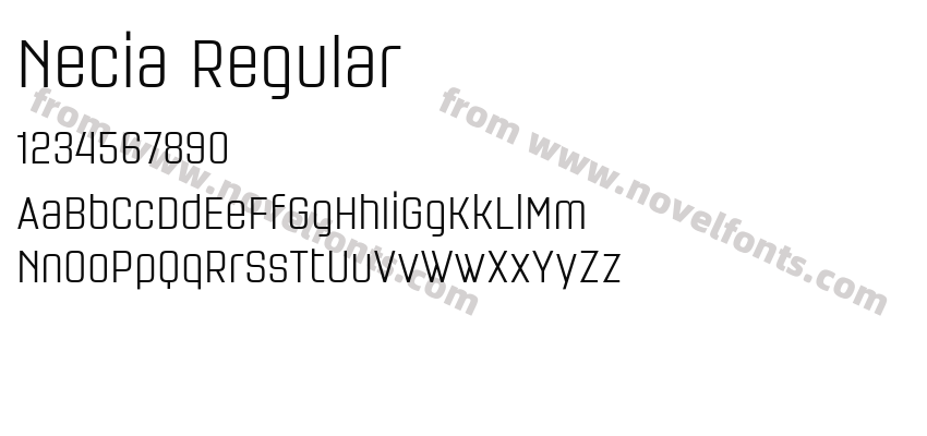 Necia RegularPreview