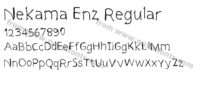 Nekama Enz RegularPreview