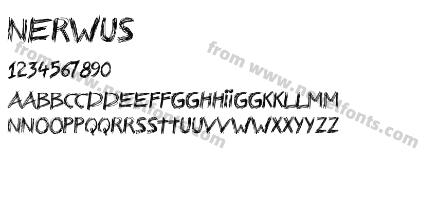 NerwusPreview