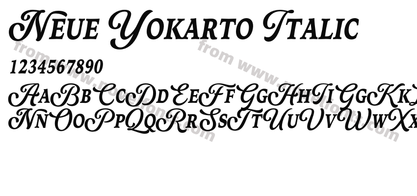 Neue Yokarto ItalicPreview