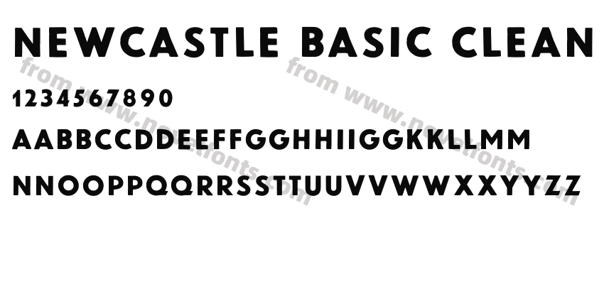 Newcastle Basic CleanPreview