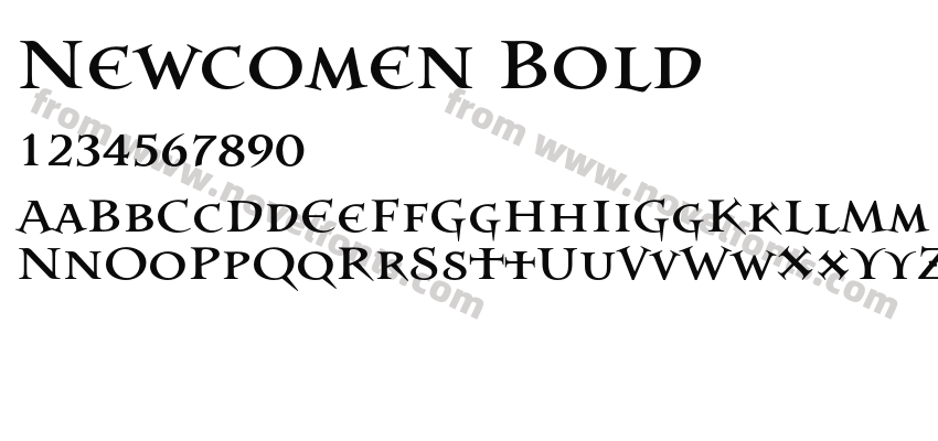 Newcomen BoldPreview
