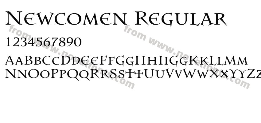Newcomen RegularPreview