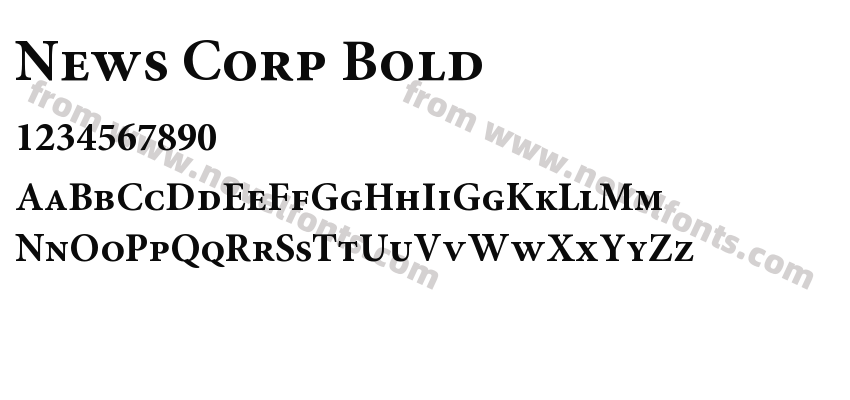 News Corp BoldPreview