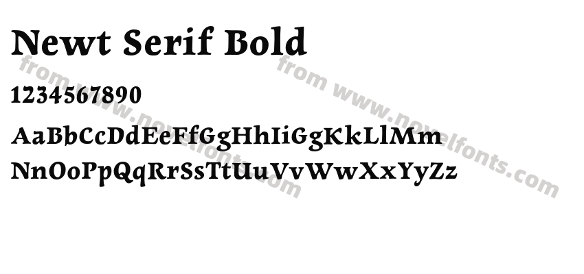 Newt Serif BoldPreview