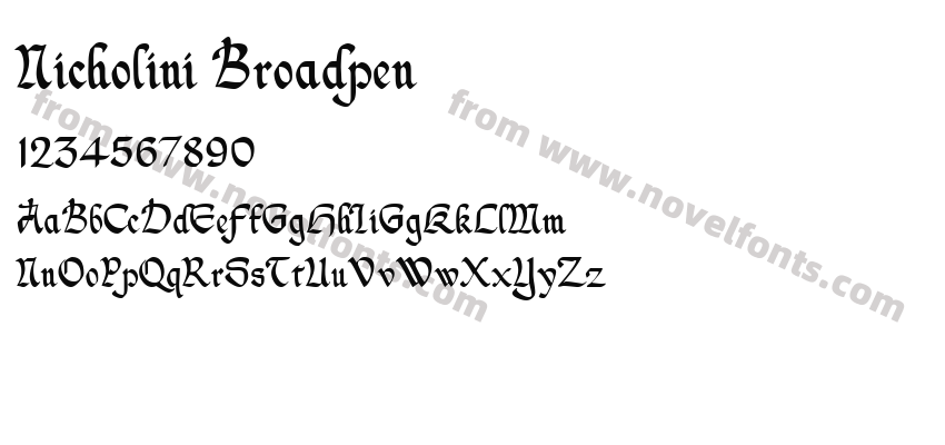 Nicholini BroadpenPreview