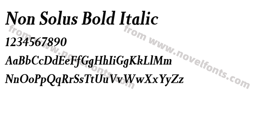 Non Solus Bold ItalicPreview