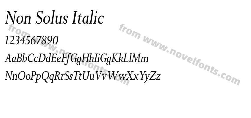 Non Solus ItalicPreview