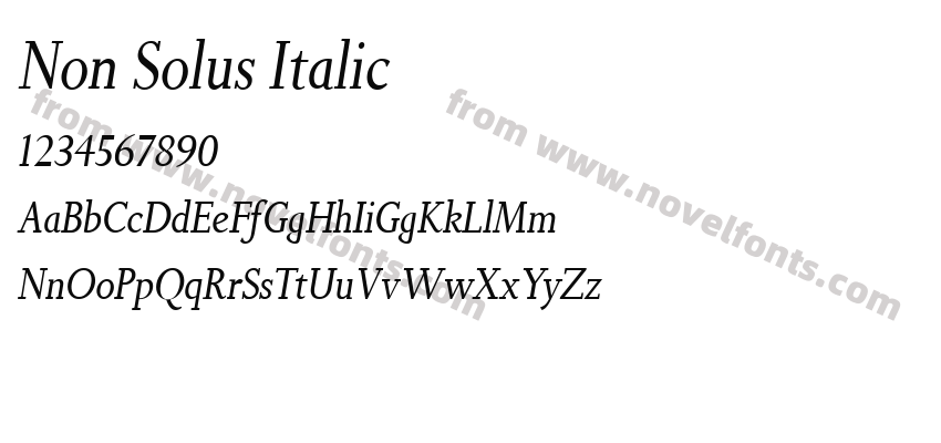 Non Solus ItalicPreview