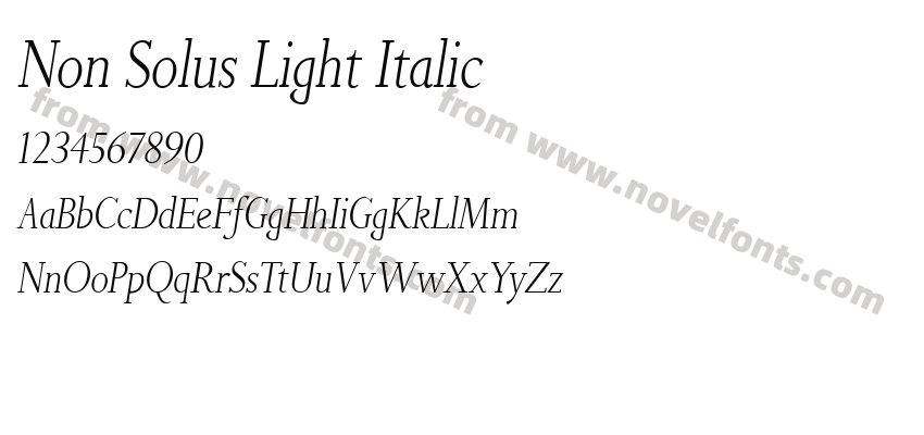 Non Solus Light ItalicPreview