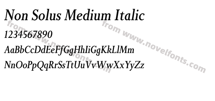Non Solus Medium ItalicPreview
