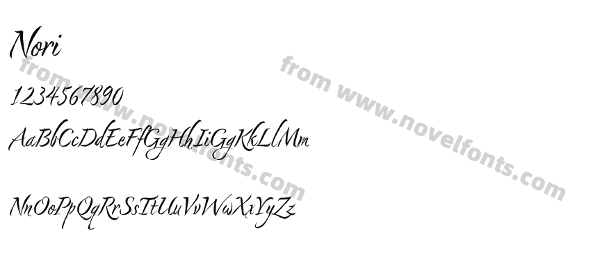 NoriPreview